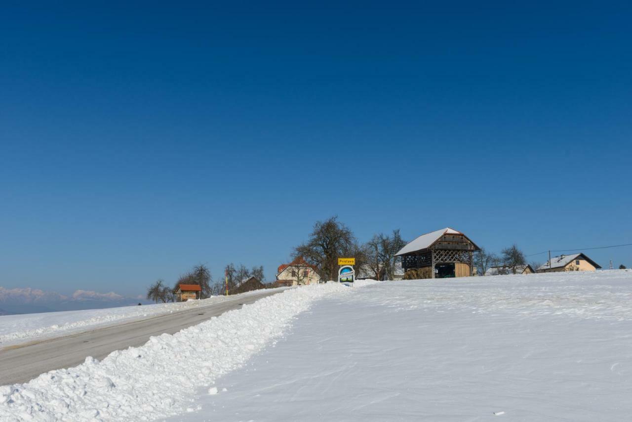 Holiday Home Virida, App Leopold III Ivancna Gorica Exterior photo